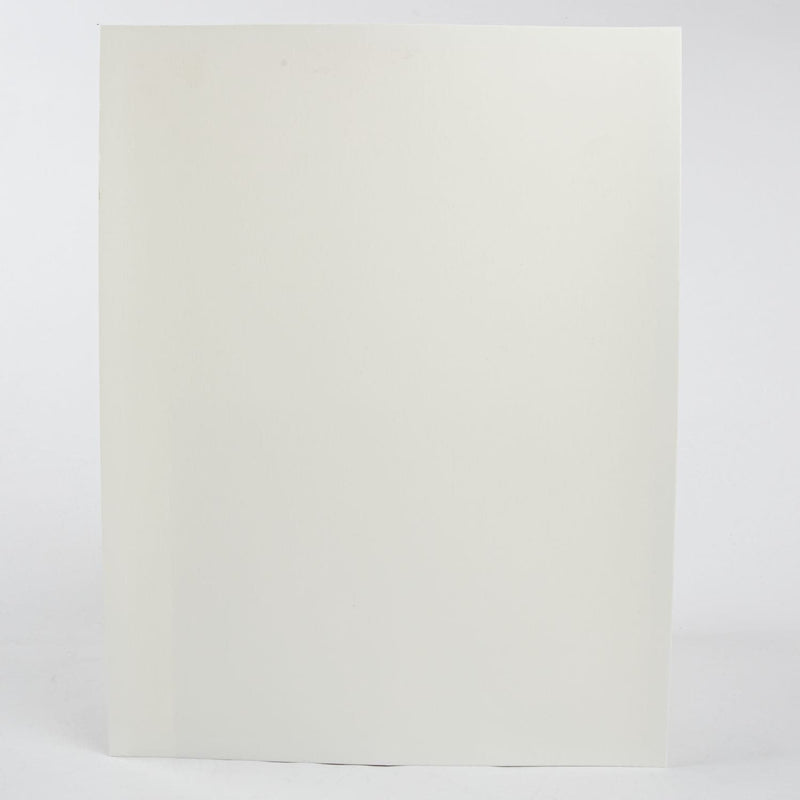 Light Gray Art Spectrum  Colourfix  Smooth 23X30cm 340GSM Clear (Pkt 10 Sheets) Pads