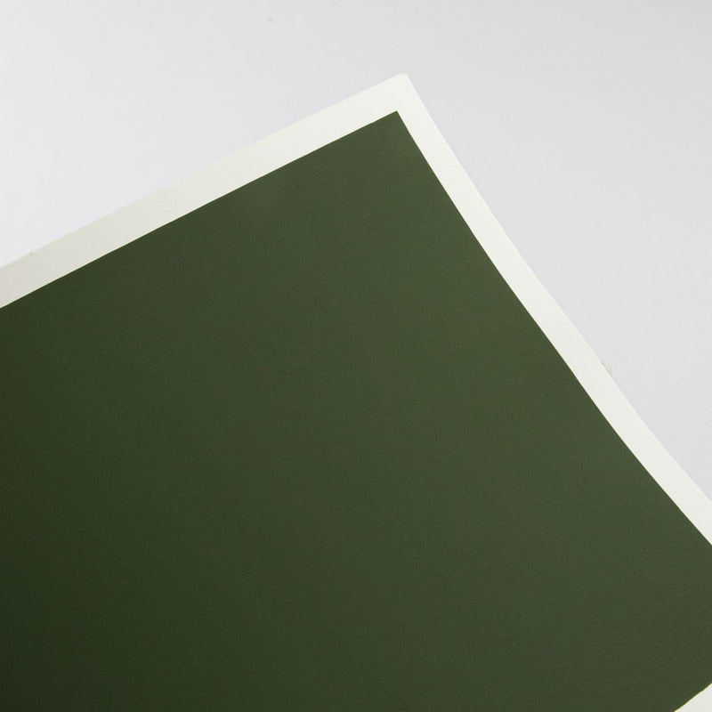 Dark Slate Gray Art Spectrum  Colourfix  Smooth 23X30cm 340GSM Leaf Green Dark (Pkt 10 Sheets) Pads