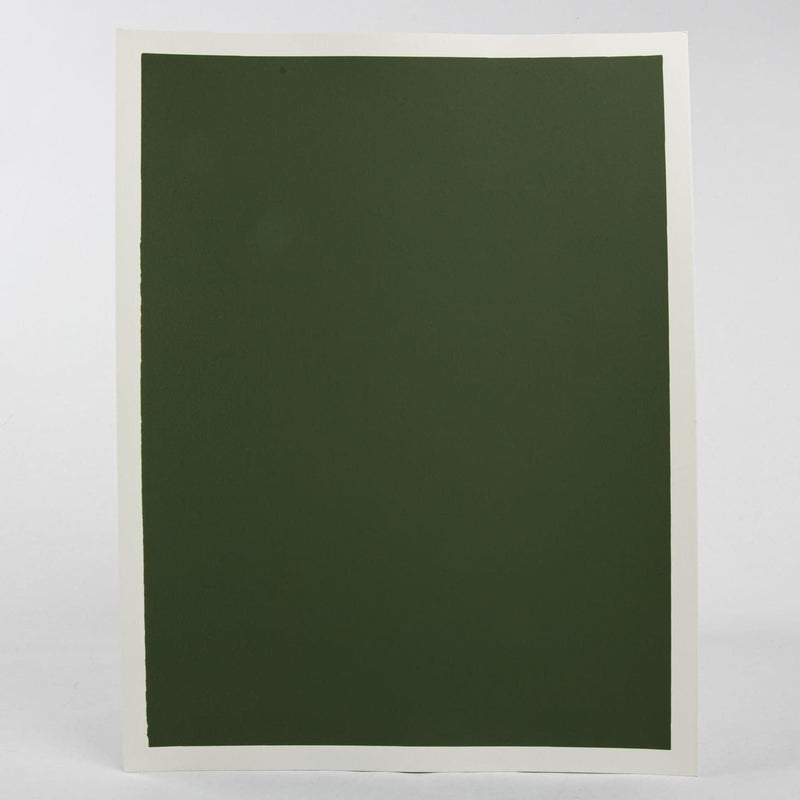 Dark Slate Gray Art Spectrum  Colourfix  Smooth 23X30cm 340GSM Leaf Green Dark (Pkt 10 Sheets) Pads