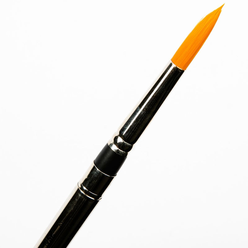 Black Art Spectrum Travel Brush Size - 12 Paint Brushes