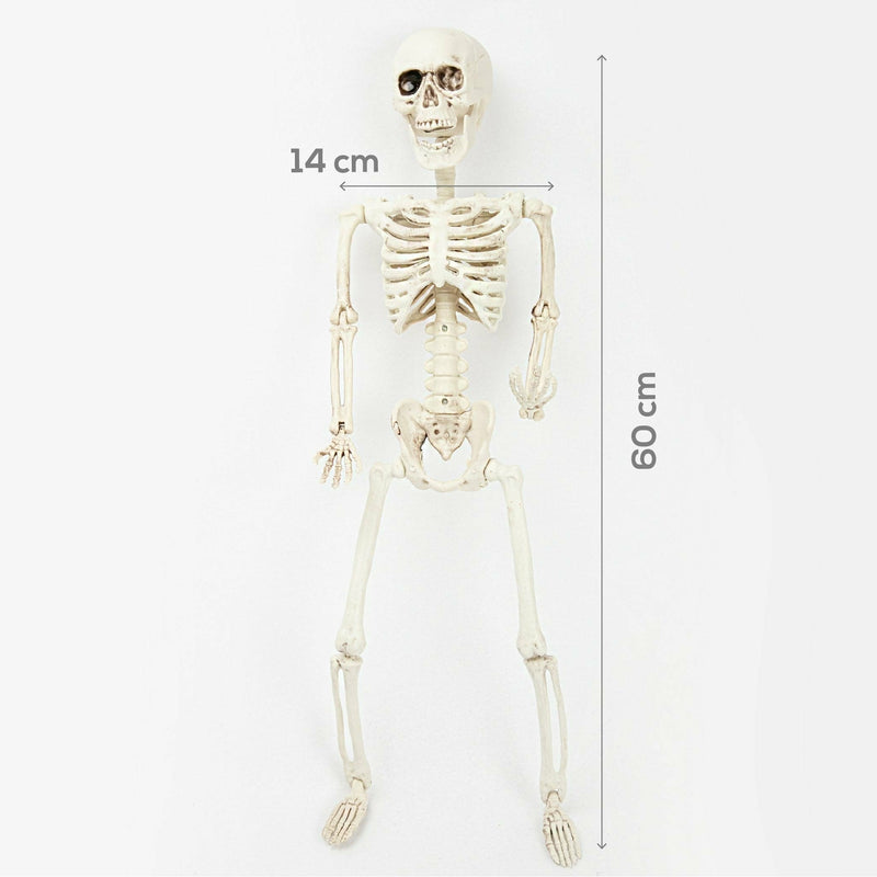 White Smoke Art Star Halloween Posable Skeleton 60cm Halloween