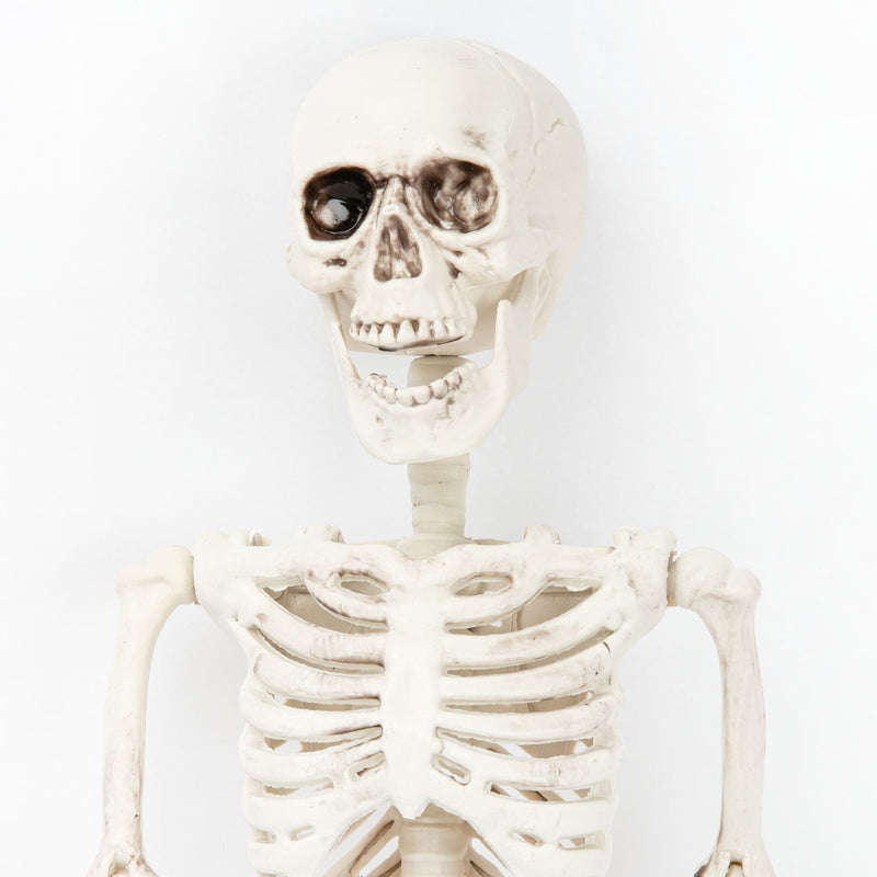 White Smoke Art Star Halloween Posable Skeleton 60cm Halloween