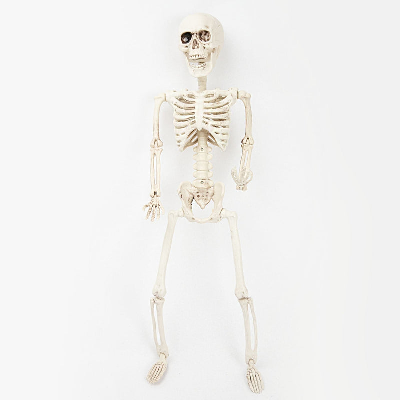 Gray Art Star Halloween Posable Skeleton 60cm Halloween