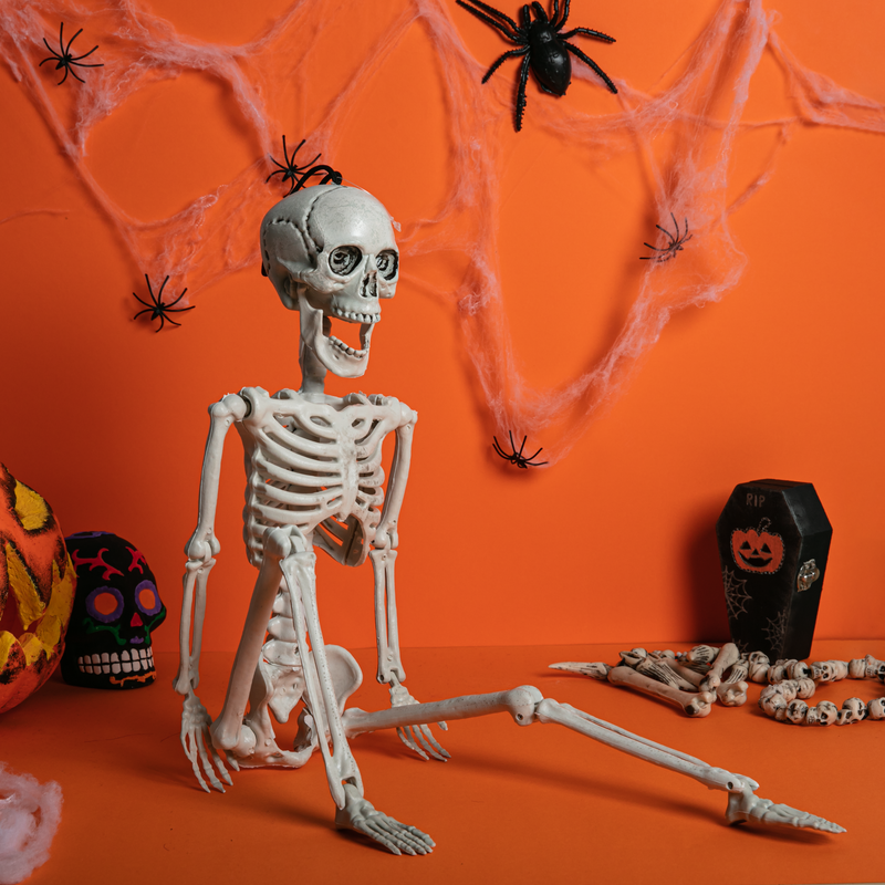 Chocolate Art Star Halloween Posable Skeleton 60cm Halloween