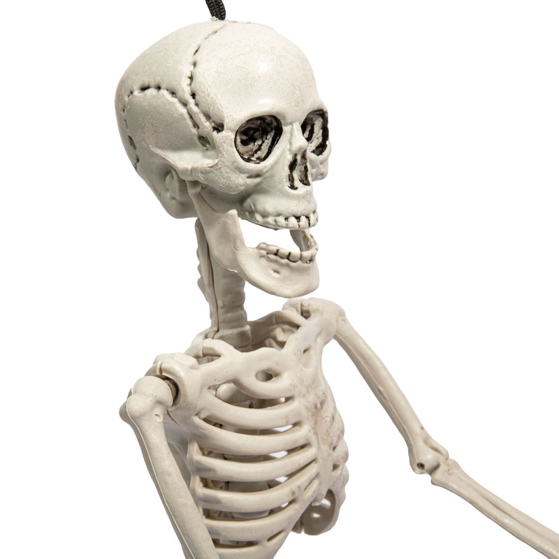 Gray Art Star Halloween Posable Skeleton 60cm Halloween