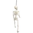 Light Gray Art Star Halloween Posable Skeleton 60cm Halloween