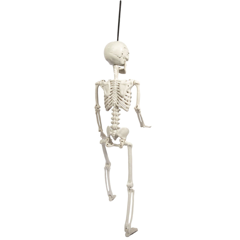 Light Gray Art Star Halloween Posable Skeleton 60cm Halloween