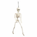 Light Gray Art Star Halloween Posable Skeleton 60cm Halloween