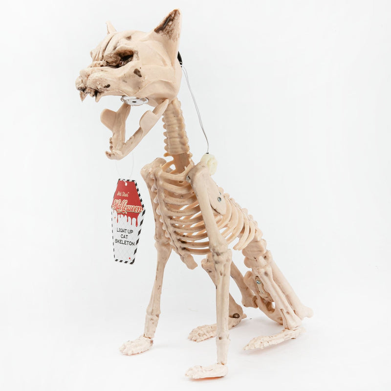 Tan Art Star Halloween Light Up Cat Skeleton Halloween