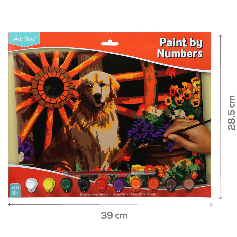 Chocolate Art Star Paint By Numbers Golden Retriever Large Kids Craft Kits