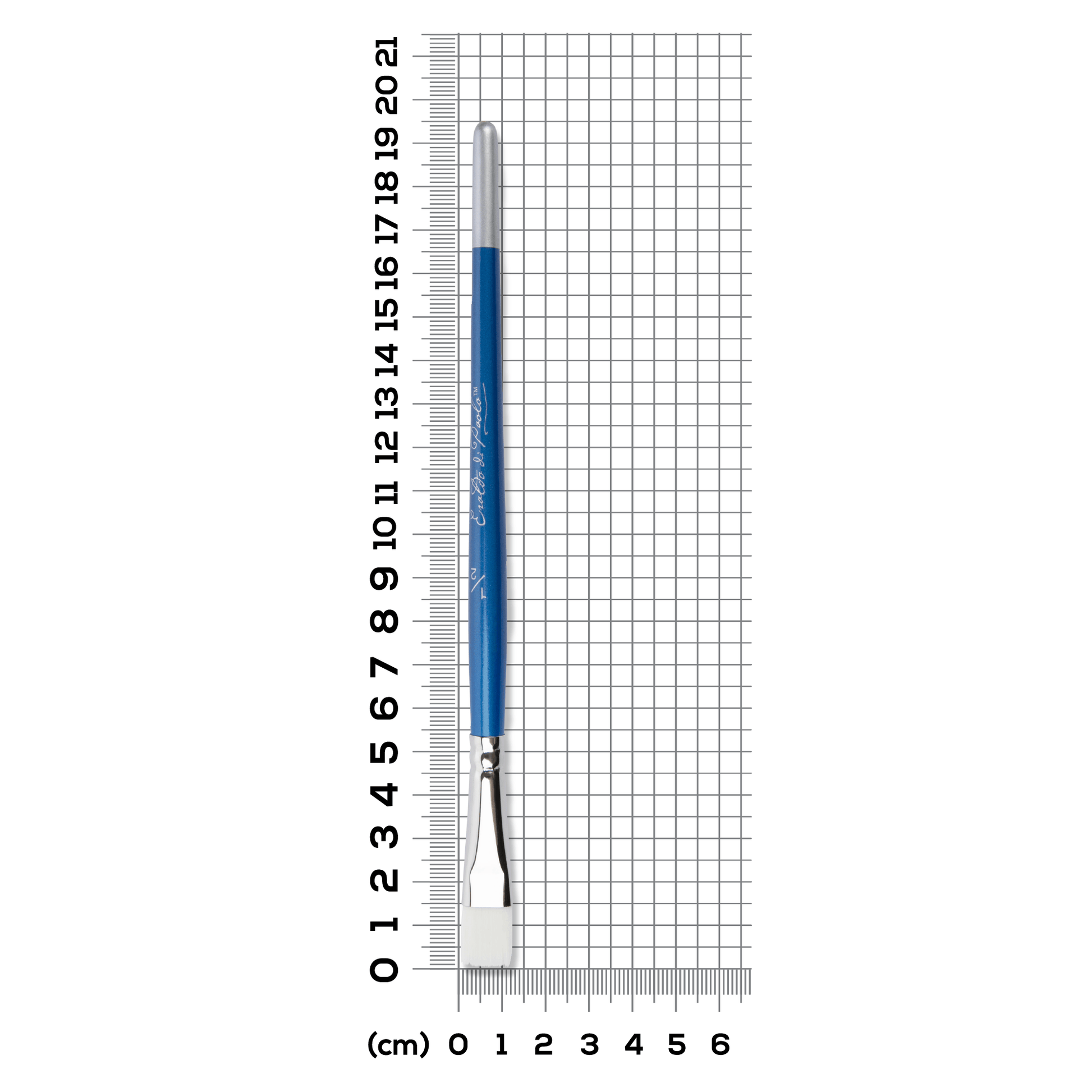 Light Slate Gray Eraldo di Paolo Flat brush 1/2in Paint Brushes