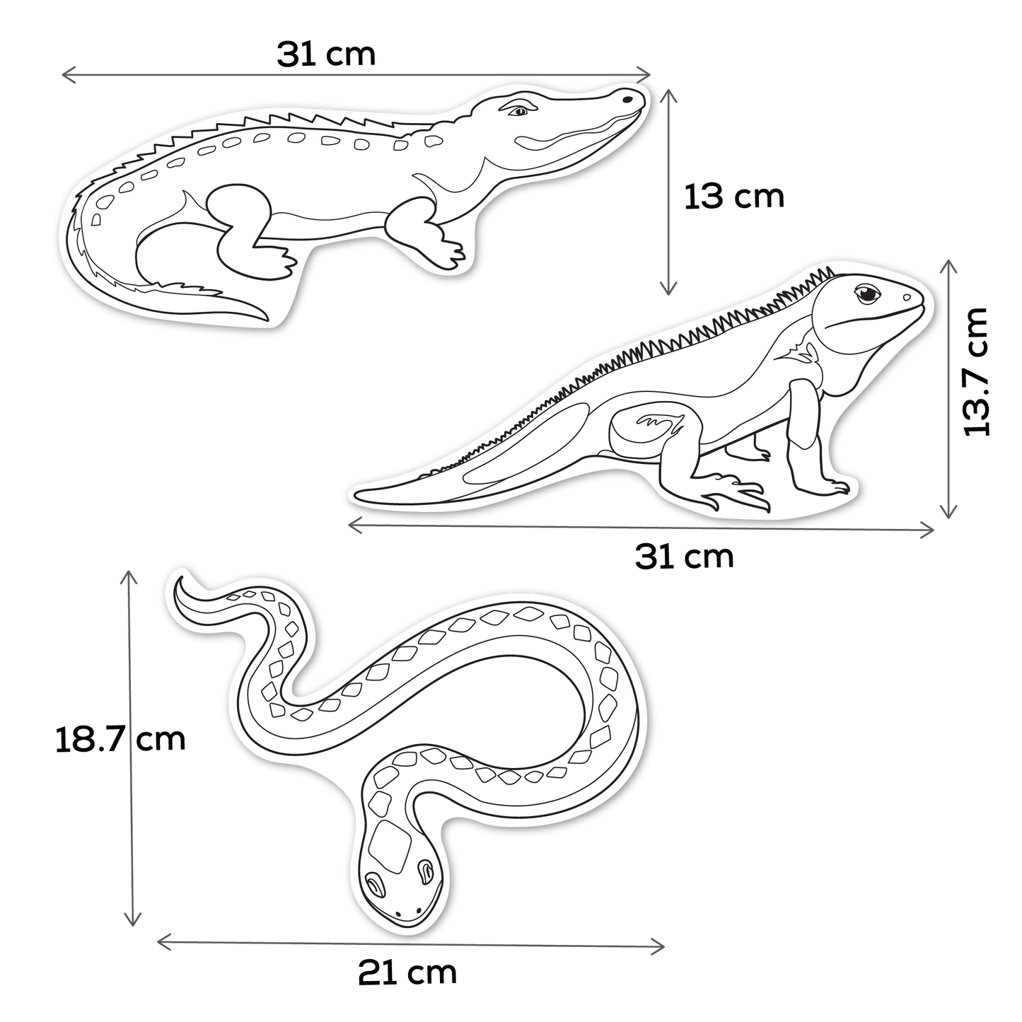 Gray Teacher's Choice  Paper Shapes Reptiles (12 Piece) Kids Paper Shapes