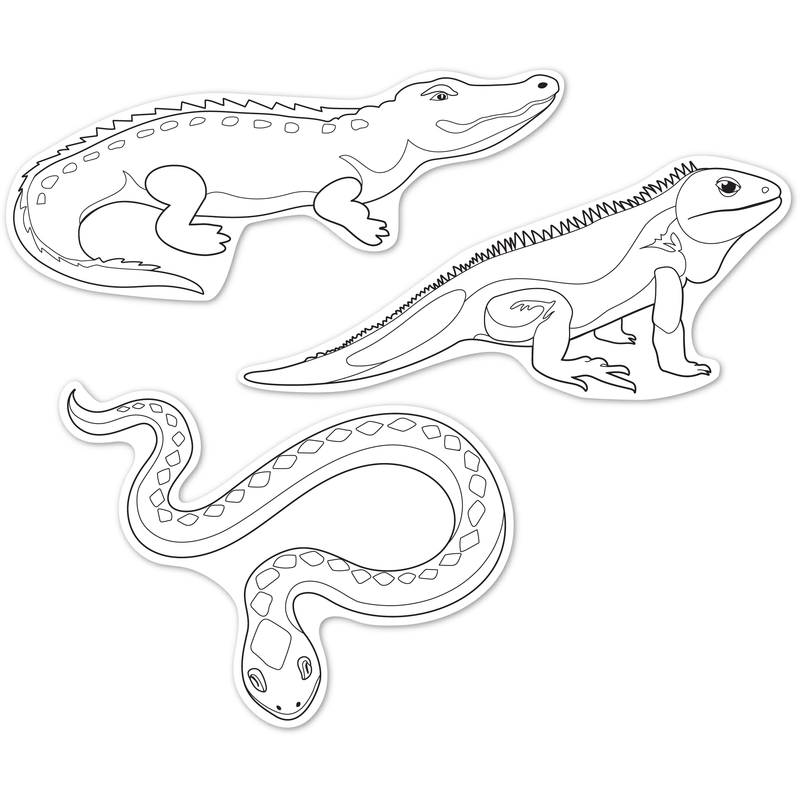 Dark Slate Gray Teacher's Choice  Paper Shapes Reptiles (12 Piece) Kids Paper Shapes