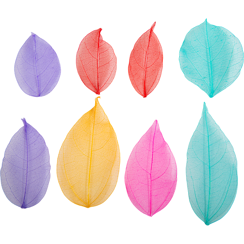 Gray Teacher's Choice Assorted Colour Skeleton Leaves 20 Pieces Kids Craft Basics