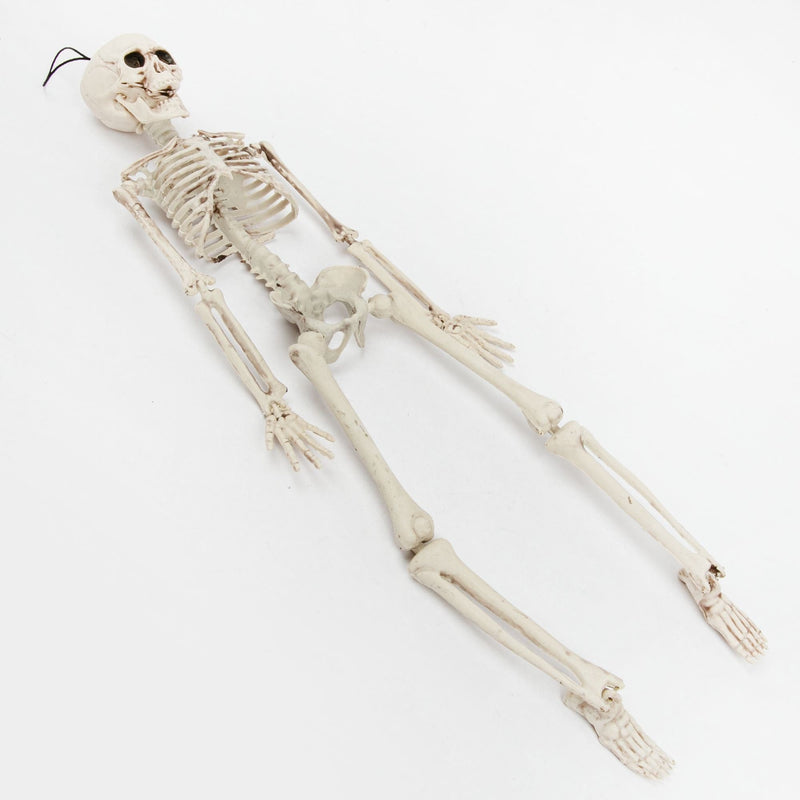 Gray Halloween Hanging Skeleton 42cm Halloween