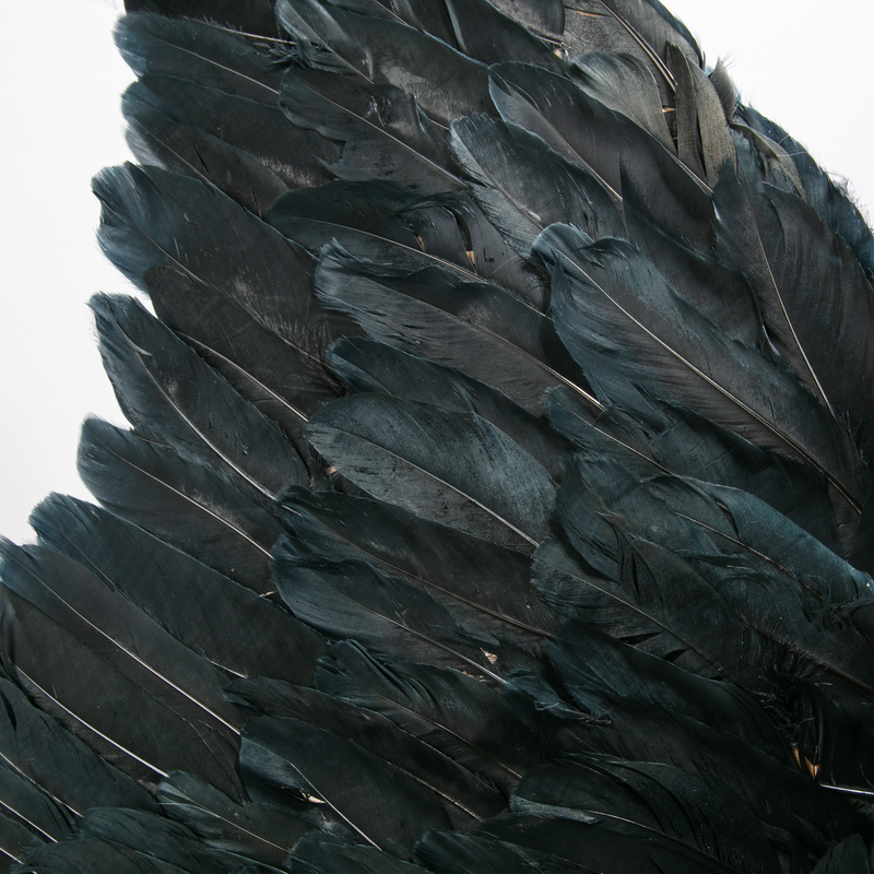 Dark Slate Gray Halloween Adult Black Feather Angel Wings 80 x 60cm Halloween