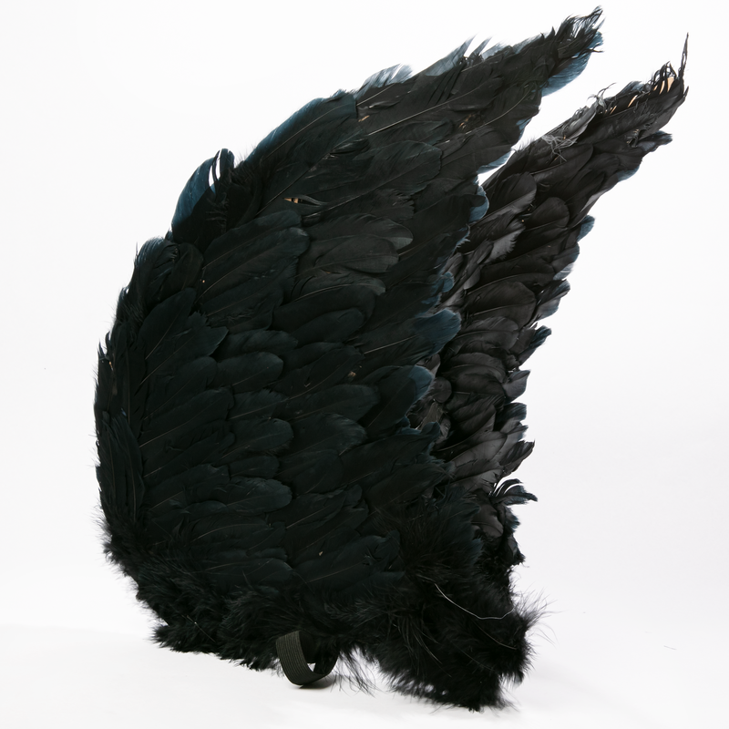 Black Halloween Adult Black Feather Angel Wings 80 x 60cm Halloween