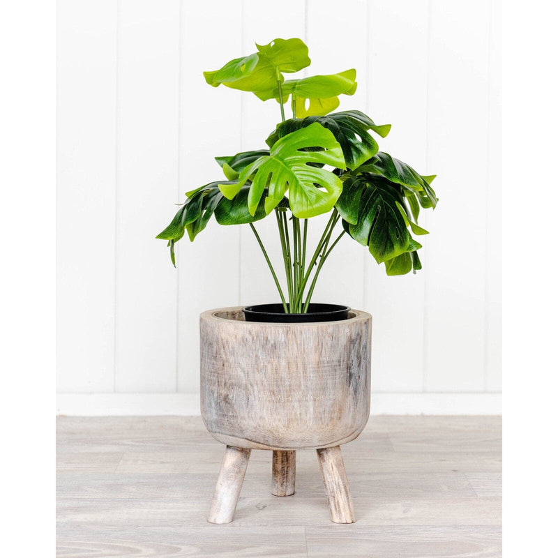 Olive Drab Pot - Timber W/Wash Poloma- 20x23cm Planters