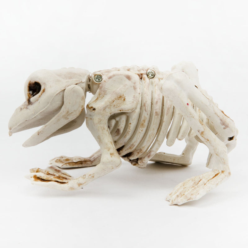 Gray Art Star Halloween Skeleton Frog Halloween
