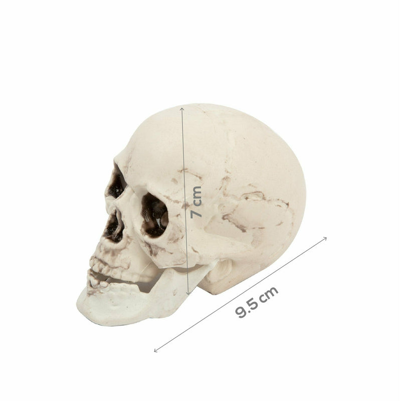 Light Gray Bag of Skull-6pcs Halloween