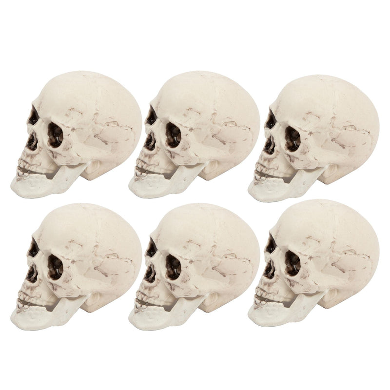 Gray Bag of Skull-6pcs Halloween