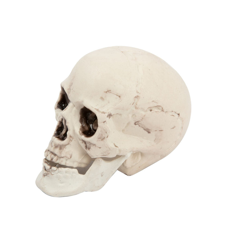 Gray Bag of Skull-6pcs Halloween