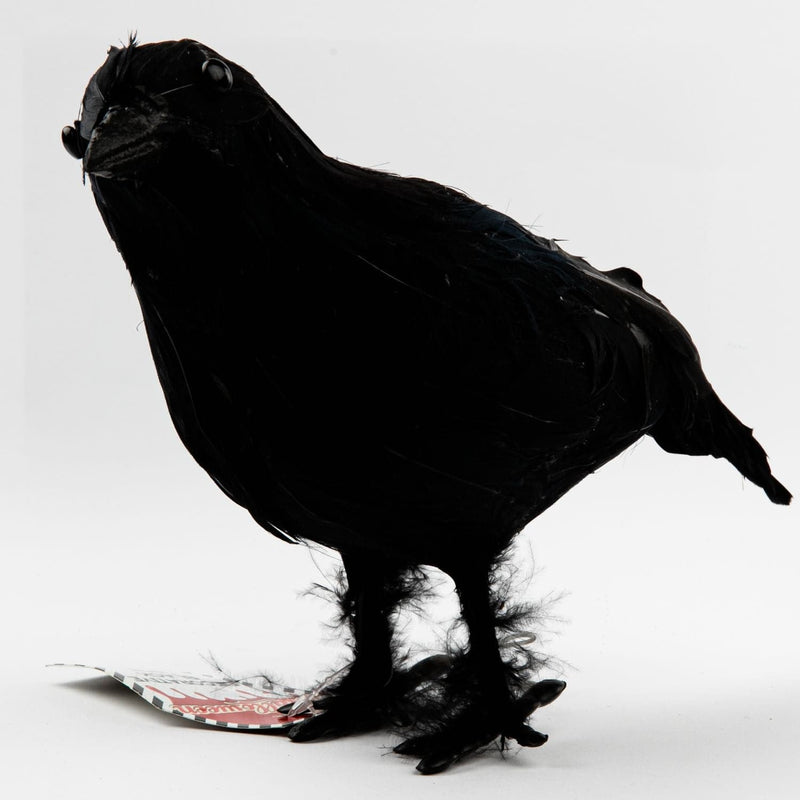 Black Halloween Decorative Black Crow 22x17 Halloween
