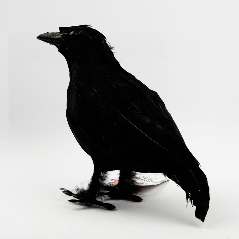 Black Halloween Decorative Black Crow 22x17 Halloween