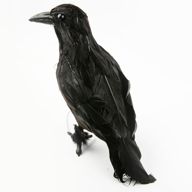 Black Halloween Decorative Black Crow 24x21cm Halloween