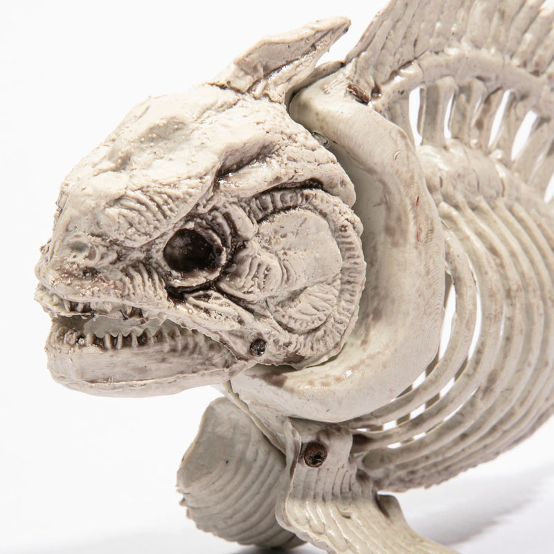 Light Gray Halloween Piranha Skeleton 25 x 13 x 7cm Halloween