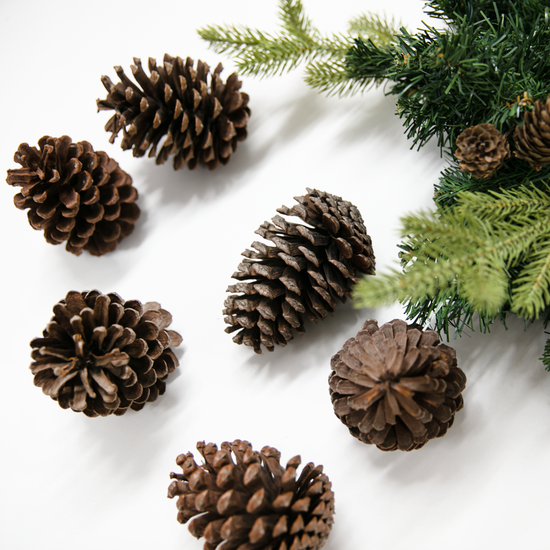 Black Make a Merry Christmas Pine Cones 10cm (6 Pack) Christmas