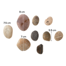 Rosy Brown Art Star Monster Rock Art Kit Contains 9 Rocks Kids Craft Kits