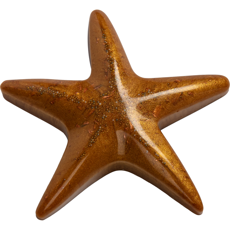 Saddle Brown Urban Crafter Starfish & Shell Silicone Mould-Starfish Resin Craft