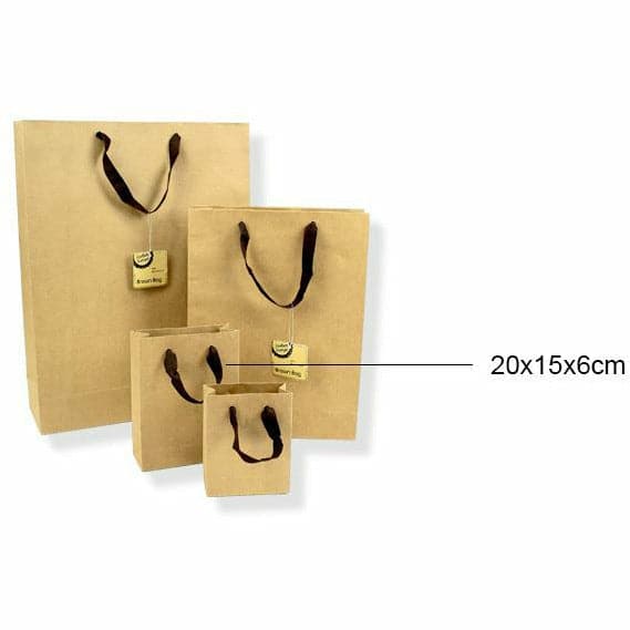 Dark Khaki Krafters Korner Brown Bags 2Pack 20x15x6cm Gift Bags and Recloseable Bags