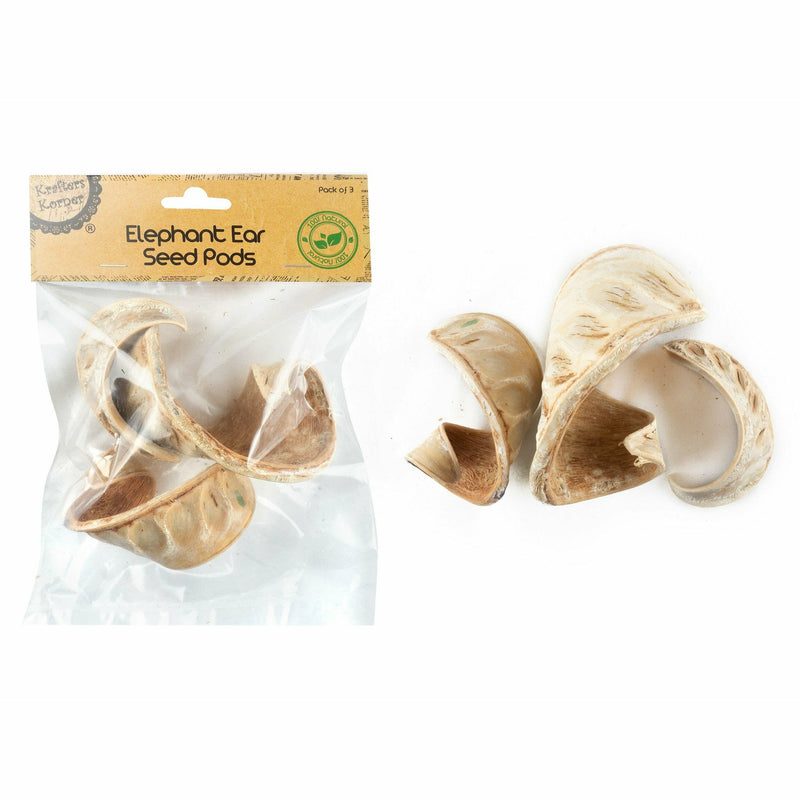 Light Gray Krafters Korner Elephant Ear Seed Pods 3 Pack Craft Basics