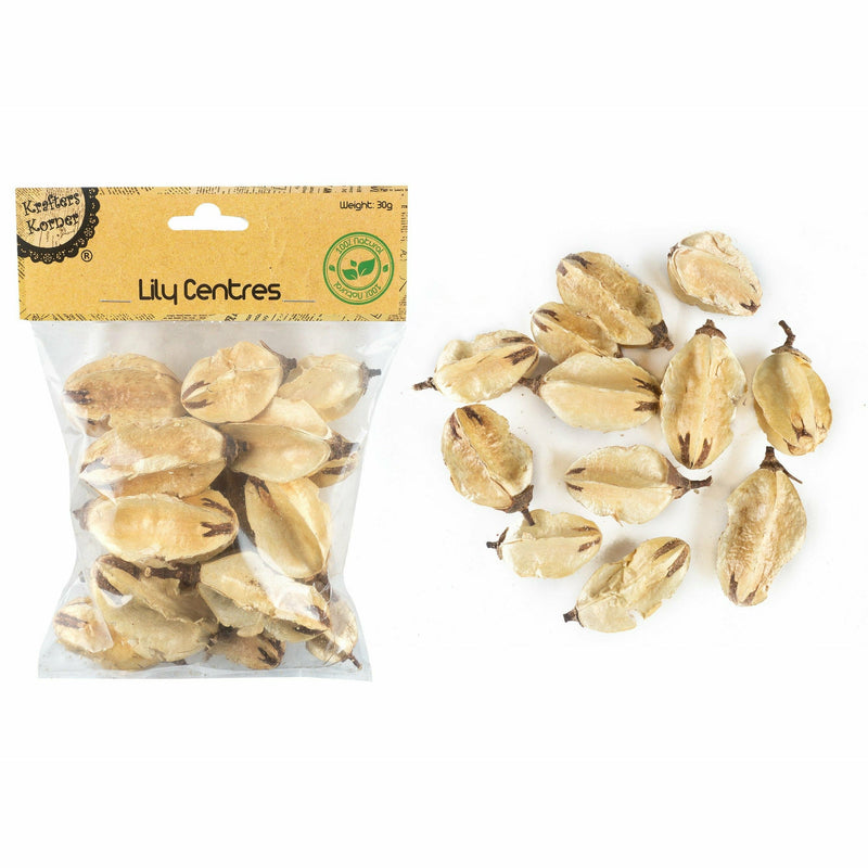 Tan Krafters Korner Lily Centres Glass Stones and Shells