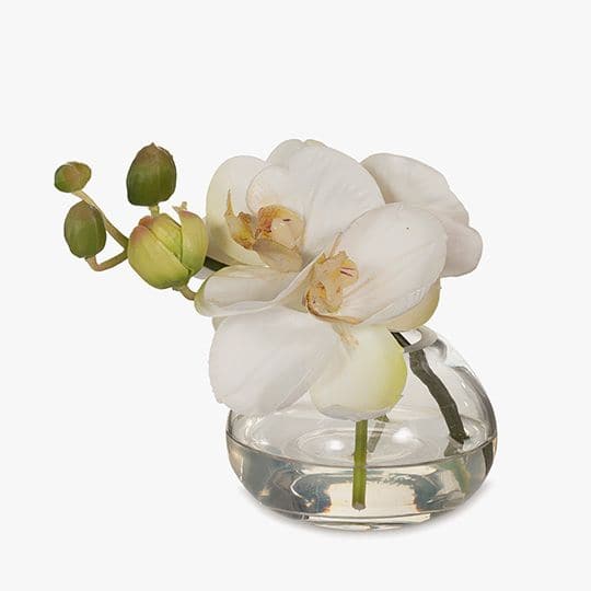 Beige White Orchid Phalaenopsis in Vase - 13cm Artifical Flowers