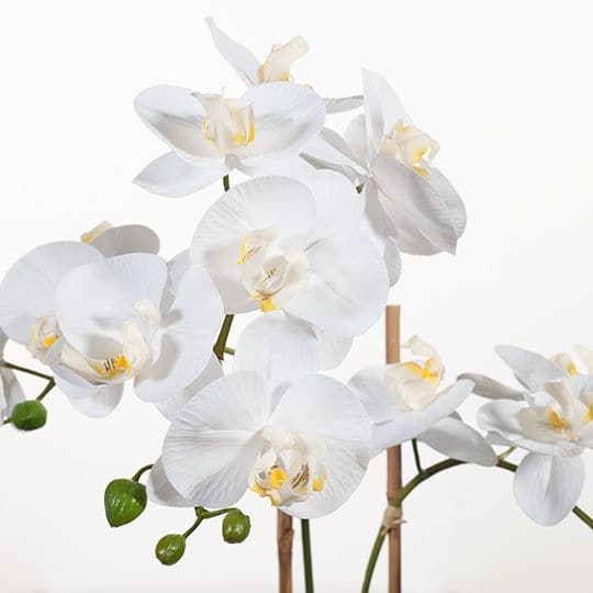 Lavender White Orchid Phalaenopsis in Bowl - 64cm Artifical Flowers