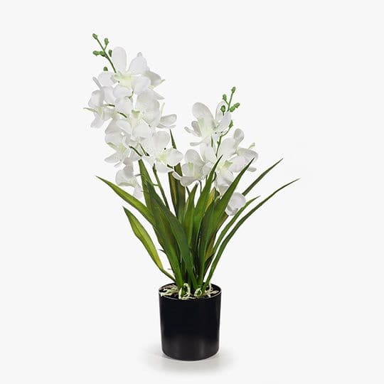 White Smoke White Orchid Ascocenda in Pot - 51cm Artifical Flowers