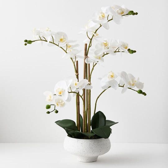 Lavender White Orchid Phalaenopsis in Bowl - 59cm Artifical Flowers