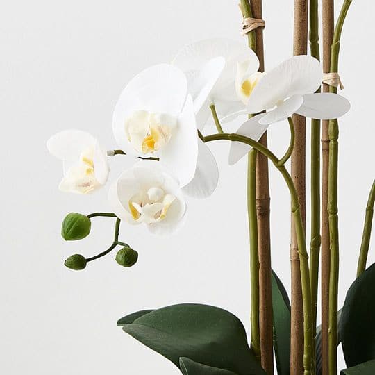 Beige White Orchid Phalaenopsis in Bowl - 59cm Artifical Flowers