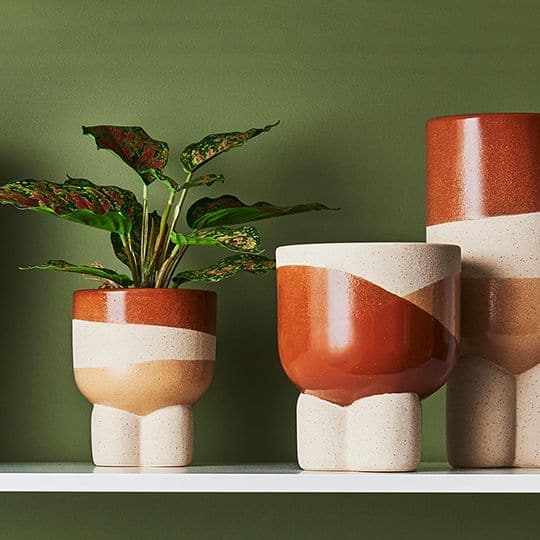 Dark Olive Green Tangerine Vase Odetto - 28cmh x 12.5cmd Planters and Pots
