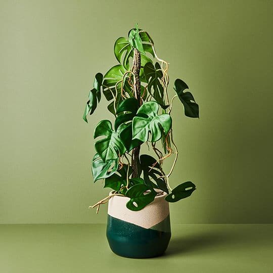 Dim Gray Emerald Pot Odetto - 17cmh x 18cmd Planters and Pots