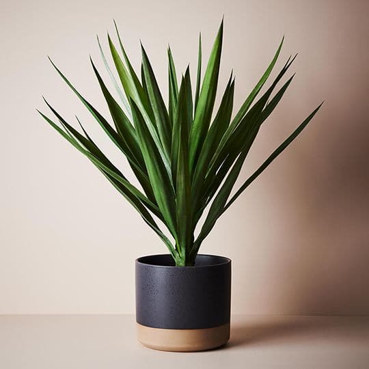 Gray Black Blue Pot Gigna - 19.5cmh x 22cmd Planters and Pots