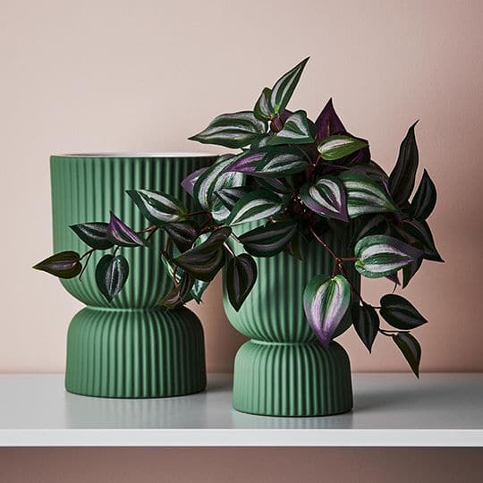 Dark Gray Mint Green Pot Palina Pedestal - 16cmh x 11.5cmd Planters and Pots