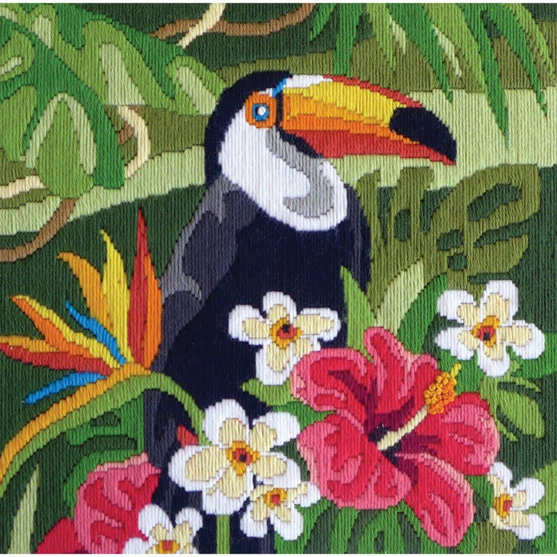 Black Country Threads Long Stitch - Tropical Toucan 30 X 30Cm Needlework Kits