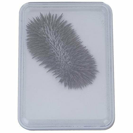 Slate Gray Iron Filings in Bubble Case Kids Educational Games and Toys