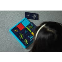Black Colour Catch Kids Educational Games and Toys