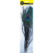 Dark Slate Gray Value Craft  Feather Peacock Eyes, 2 Piece Feathers