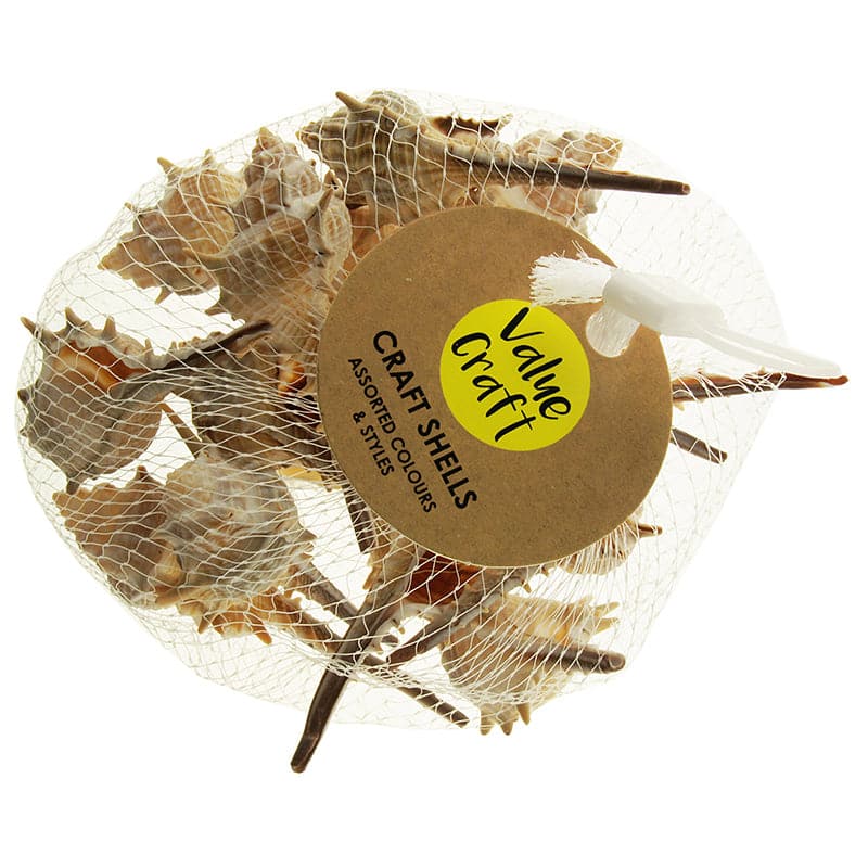 Sienna Value Craft  Shells Spikey Natural 100G Shells Glass and Mirrors